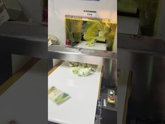 অটো কনভেয়রিং মেটাল ডিটেক্টর খাদ্য নিরাপত্তা প্যাকেজ লাইন জন্য, 300 * 150mm টানেল আকার