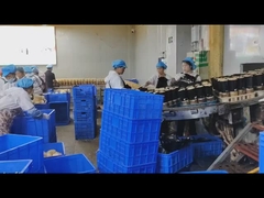 ডিজিটাল সিগন্যাল প্রসেসিং এবং OEM সহ স্টেইনলেস 304 ফুড মেটাল ডিটেক্টরের সম্পূর্ণ কাঠামো গ্রহণ