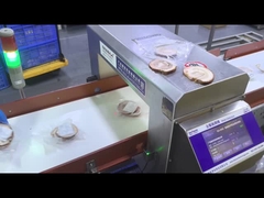 স্বয়ংক্রিয় কনভেয়র শিল্প খাদ্য গ্রেড ধাতু আবিষ্কারক নিরাপত্তা সরঞ্জাম মেশিন কাস্টমাইজড OEM