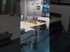 অটোমেটিক কনভেয়র মেটাল ডিটেক্টর 0.5mm সংবেদনশীলতা খাদ্য / প্রসাধনী কাঁচামাল পরিদর্শন