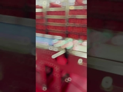 ইন্ডাস্ট্রিয়াল ফুড এক্স রে ইন্সপেকশন ডিটেকশন মেশিন ফরেন অবজেক্টের জন্য