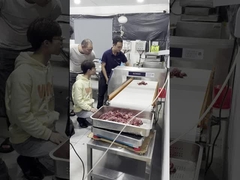 ফুড গ্রেড মেটাল ডিটেক্টর