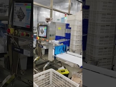 আর্দ্র শুকনো খাদ্য পণ্য এক্স রে পরিদর্শন মেশিন শিল্পের জন্য ক্যান বোতলজাত পণ্য প্যাকেজ