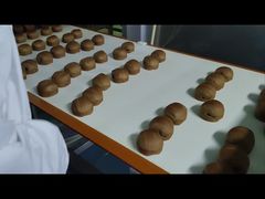 খাদ্য প্রক্রিয়াকরণে ব্যবহৃত ০.০১ গ্রাম রেজোলিউশন সম্পন্ন মেটাল ডিটেক্টর আপনার পণ্যকে ধাতব দূষণ থেকে রক্ষা করে