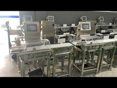 পরিবাহক ওজন পরীক্ষক